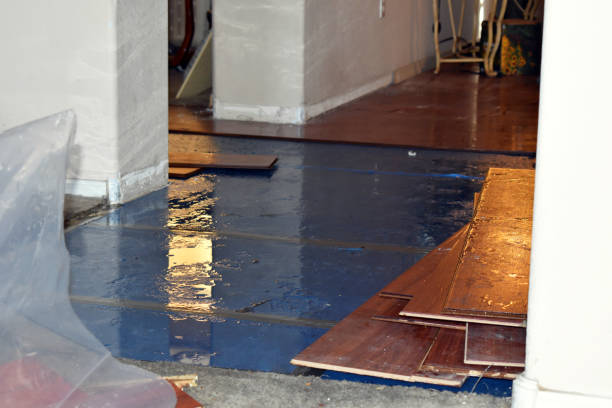 Professional Burst Pipe Cleanup technician working in Capac, MI